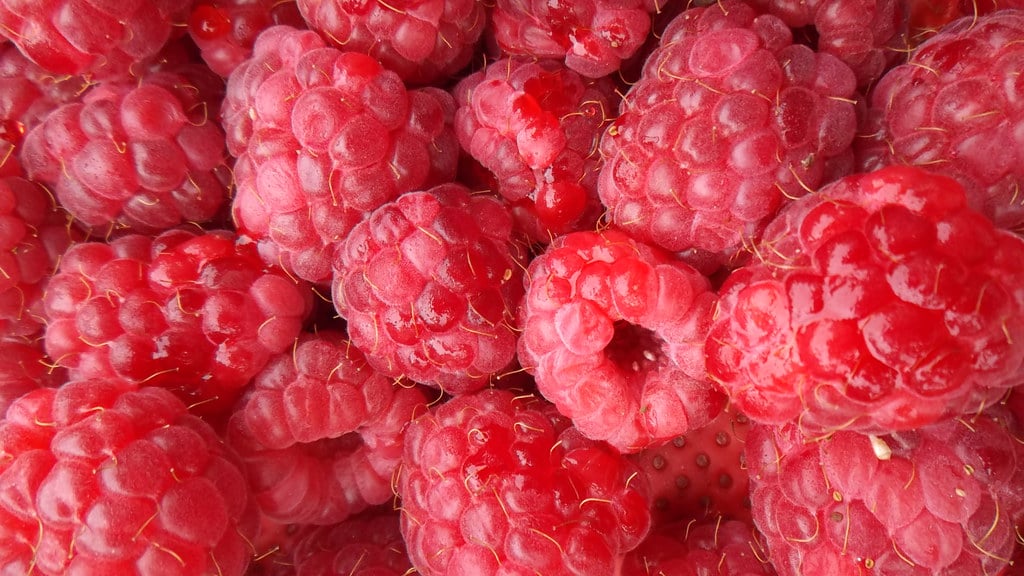 des framboises en gros plan