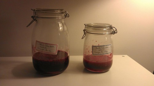 Shrub framboise, vinaigre de cidre ou vinaigre de vin