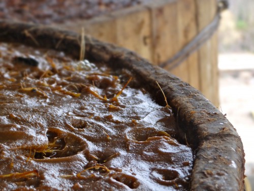 Cuves de fermentation