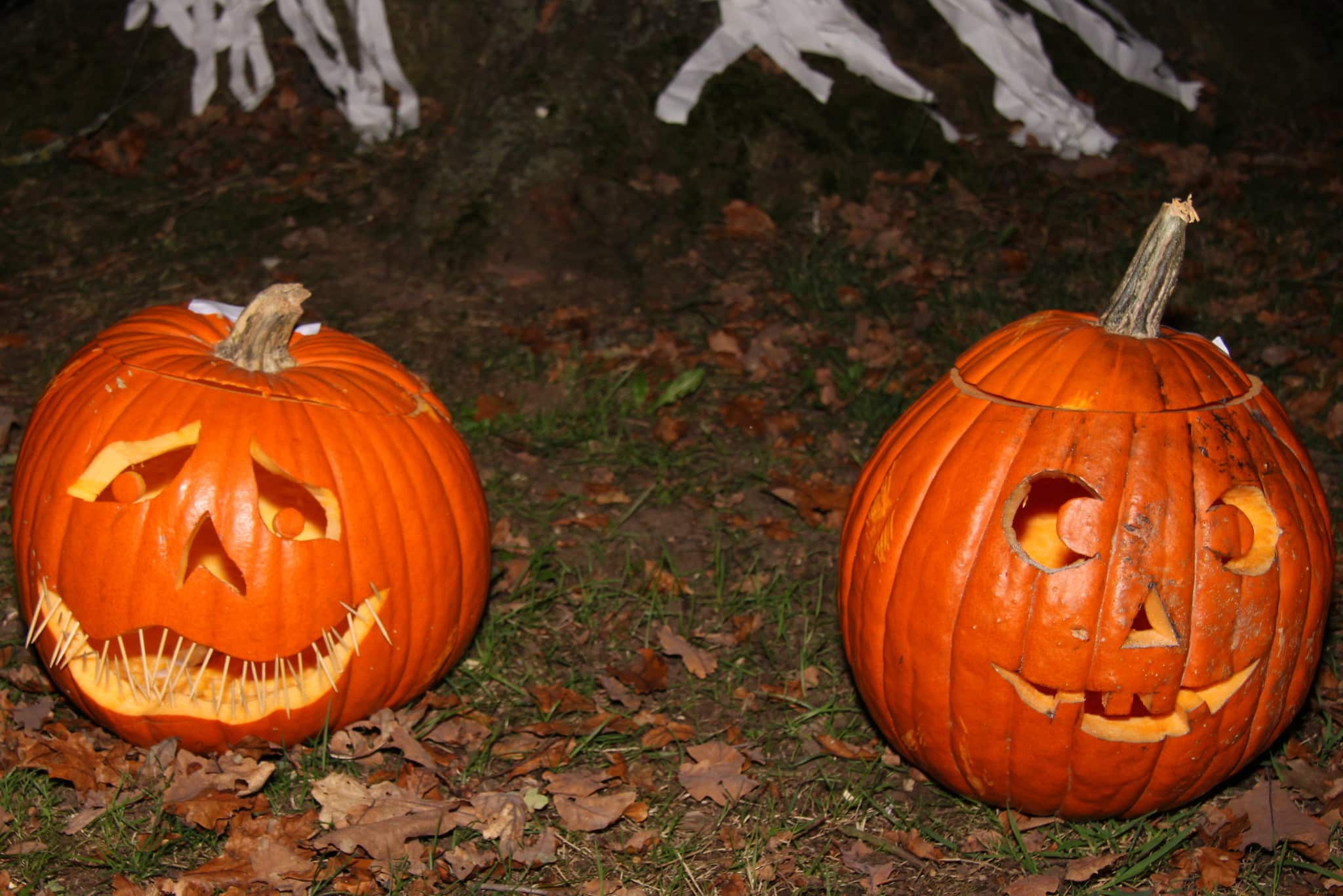 Des citrouilles d'Halloween
